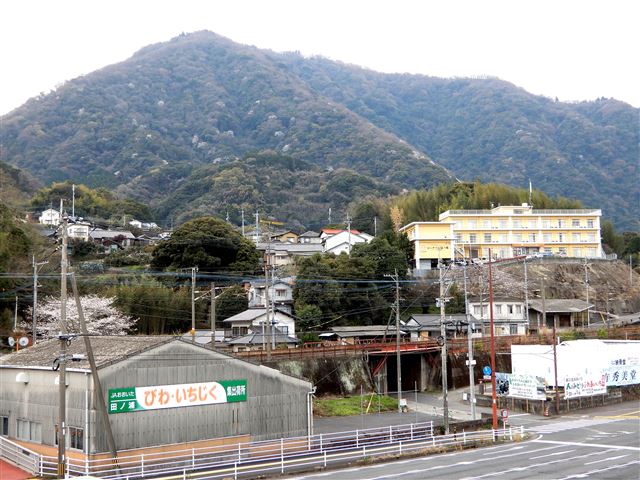 画像の説明