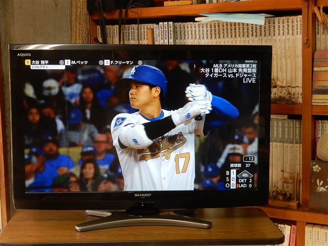 画像の説明