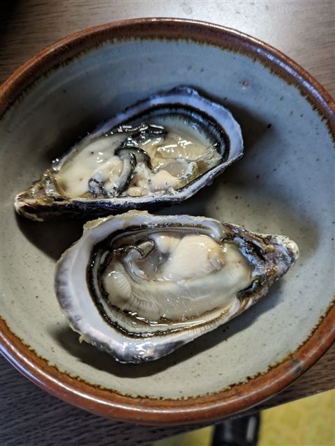 画像の説明