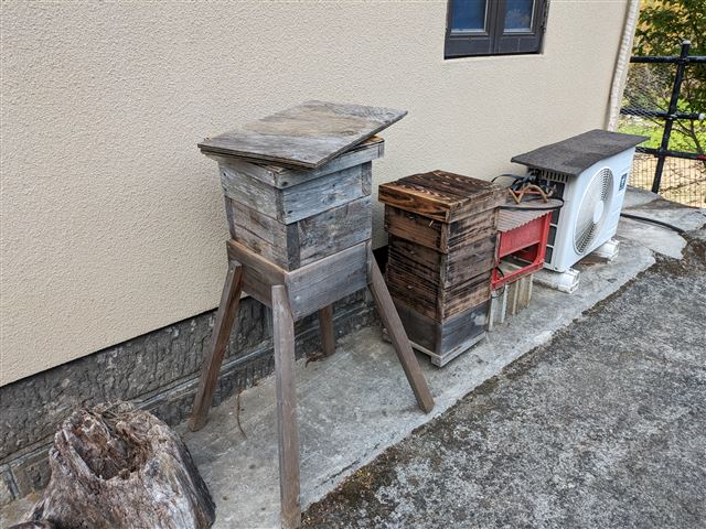 画像の説明