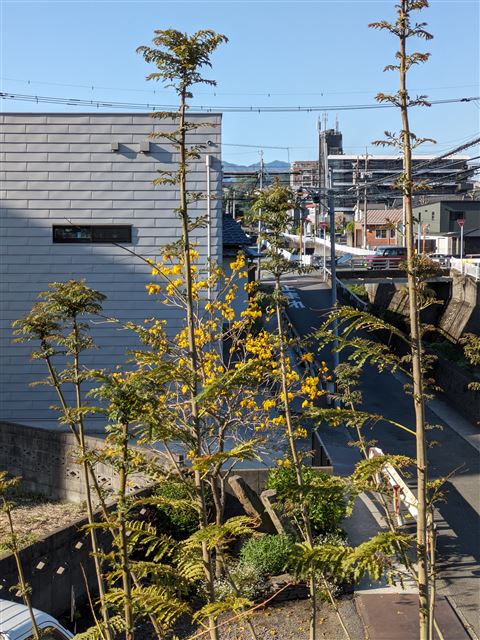 画像の説明