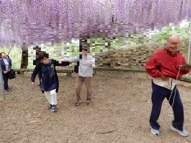 画像の説明