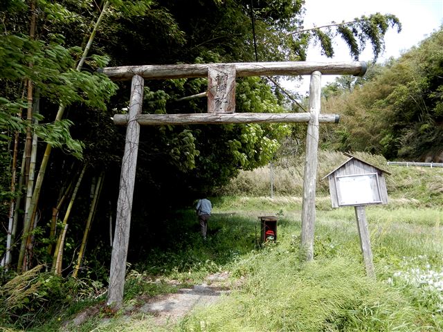 画像の説明