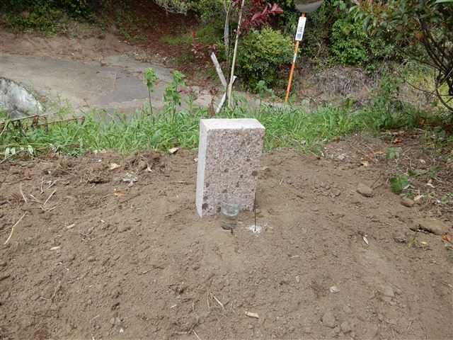 画像の説明