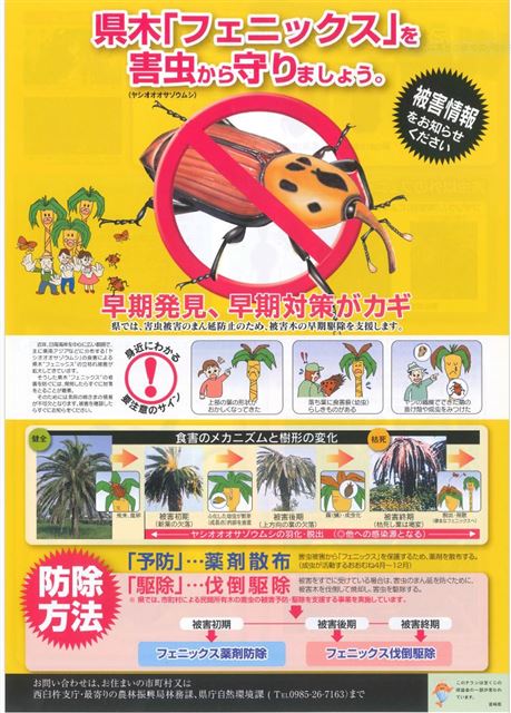画像の説明