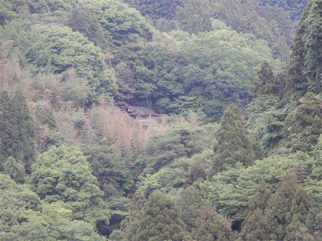 画像の説明