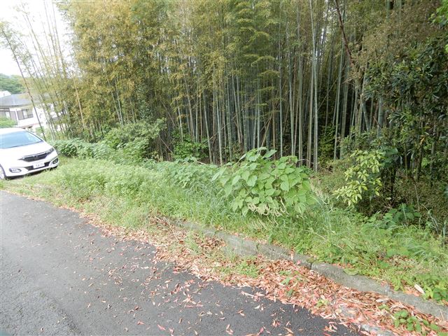 画像の説明 画像の説明