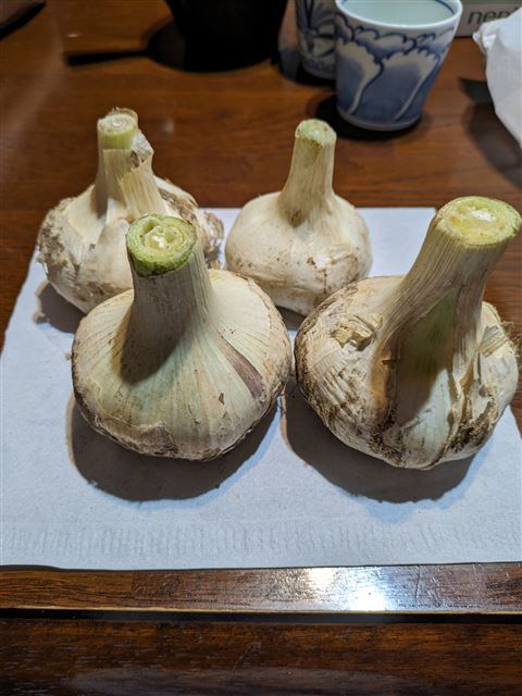 画像の説明
