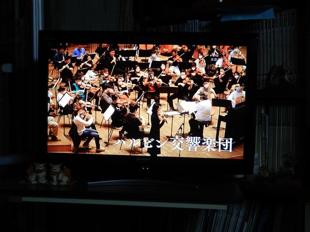 画像の説明