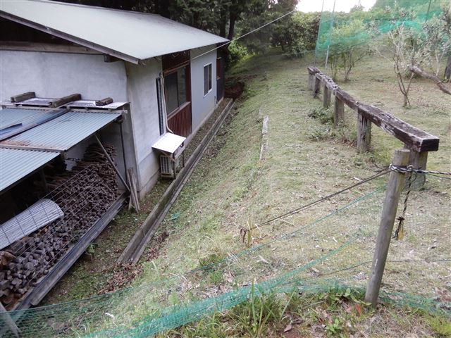 画像の説明