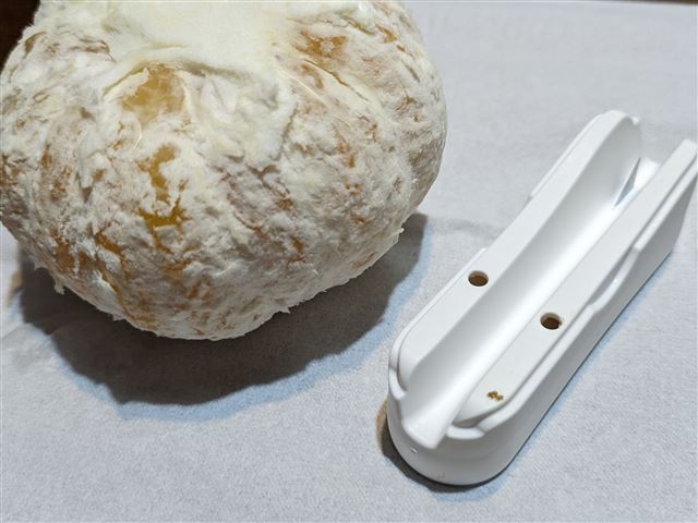 画像の説明