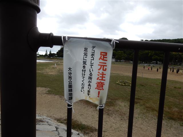 画像の説明