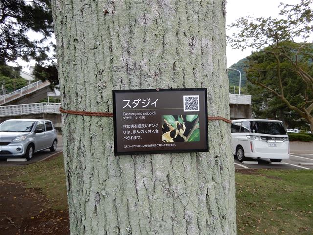 画像の説明