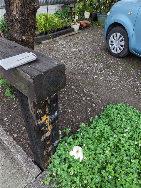 画像の説明