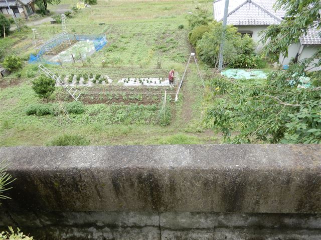 画像の説明