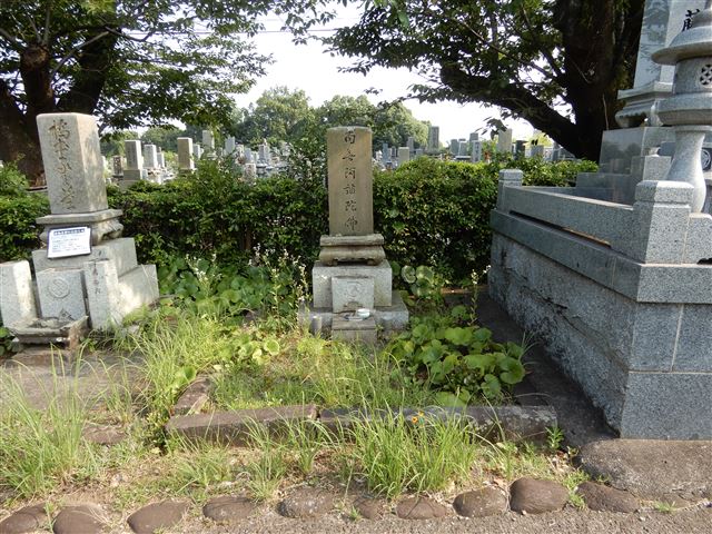 画像の説明