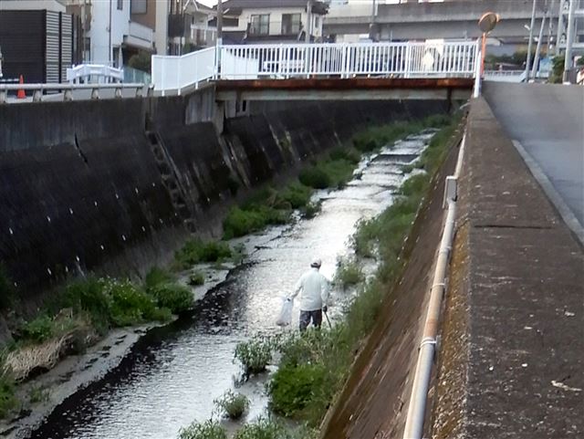 画像の説明