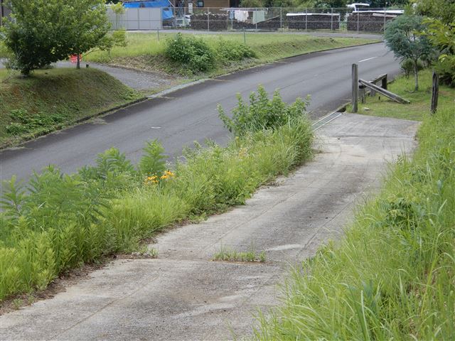 画像の説明