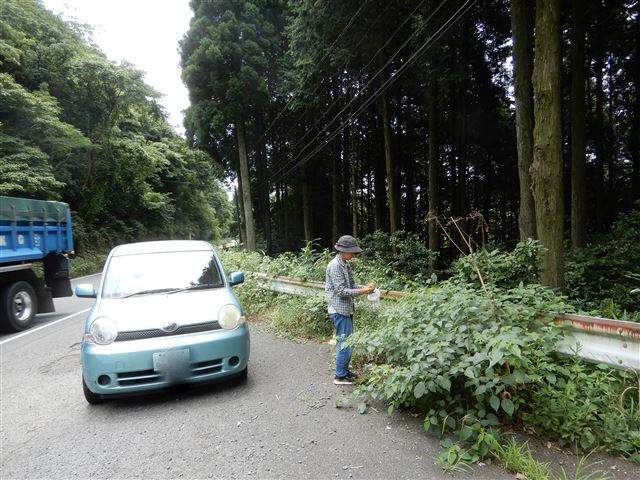 画像の説明