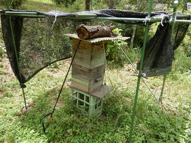 画像の説明