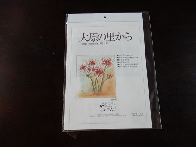 画像の説明