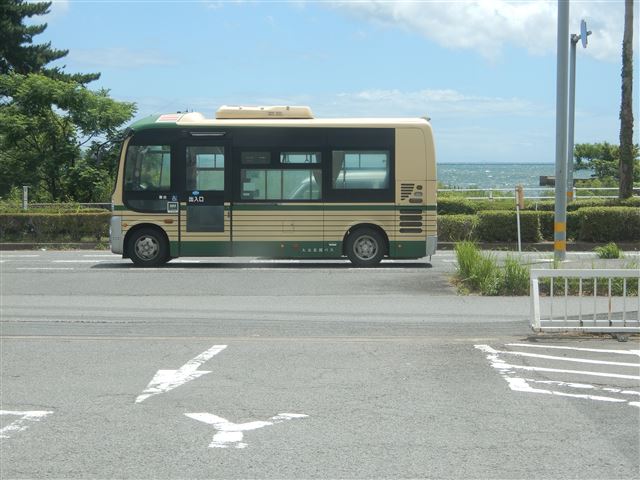 画像の説明