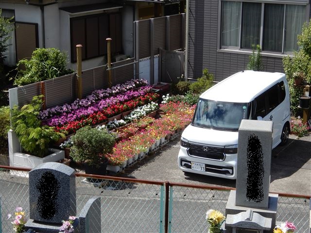 画像の説明