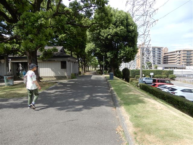 画像の説明