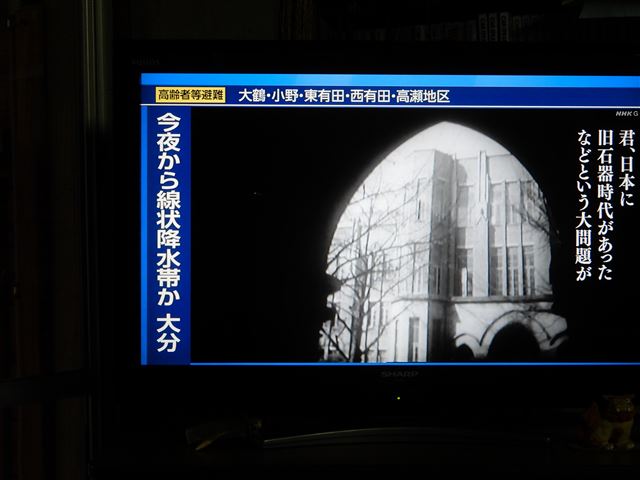 画像の説明