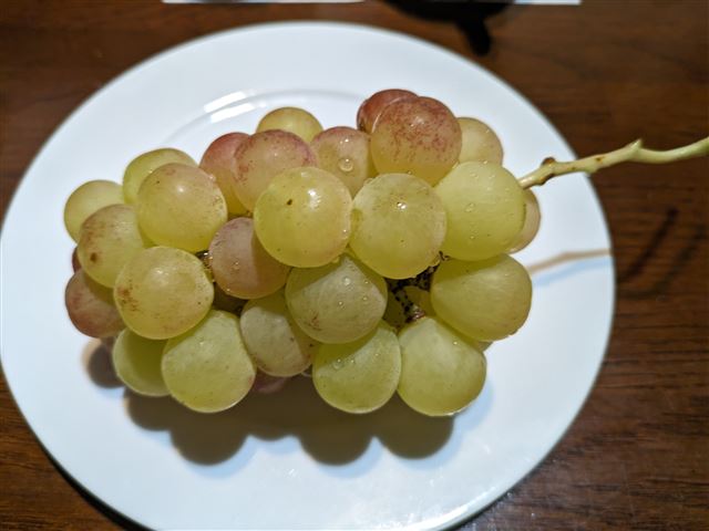 画像の説明