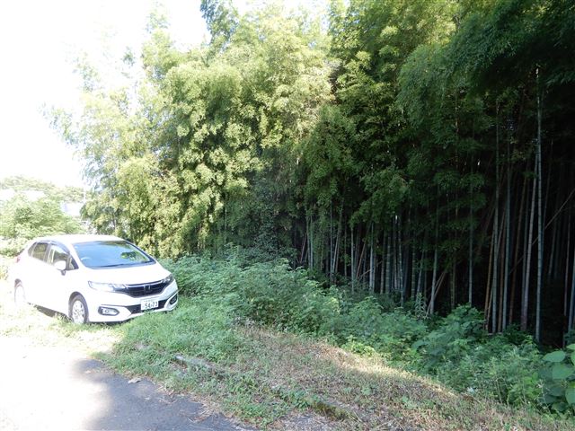 画像の説明