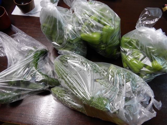 画像の説明
