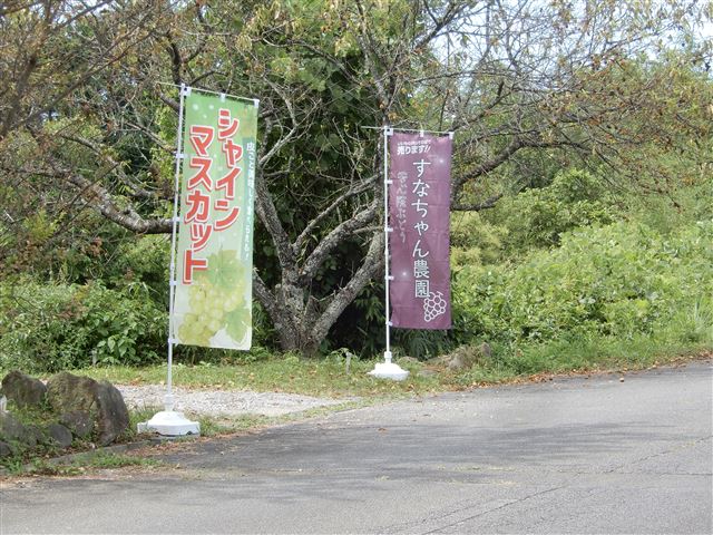 画像の説明