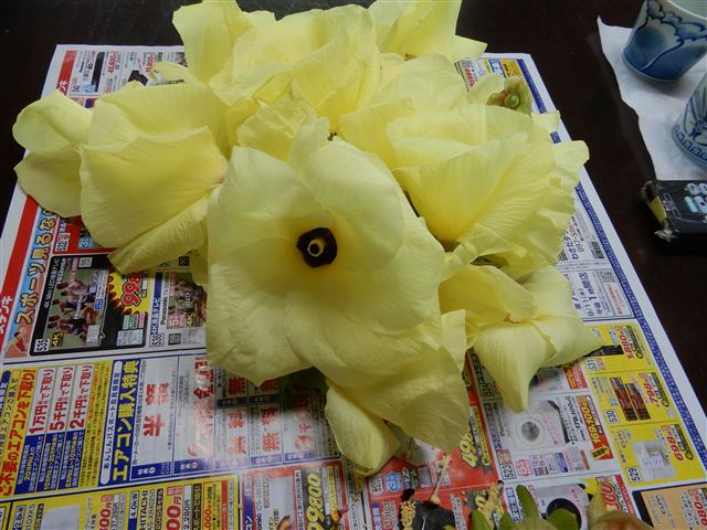 画像の説明