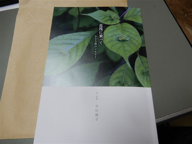 画像の説明