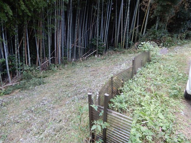 画像の説明