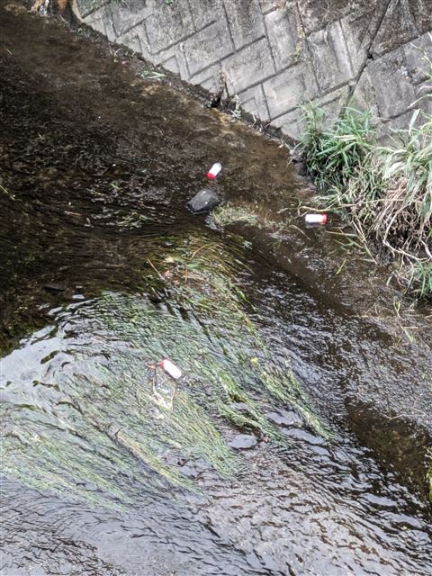 画像の説明