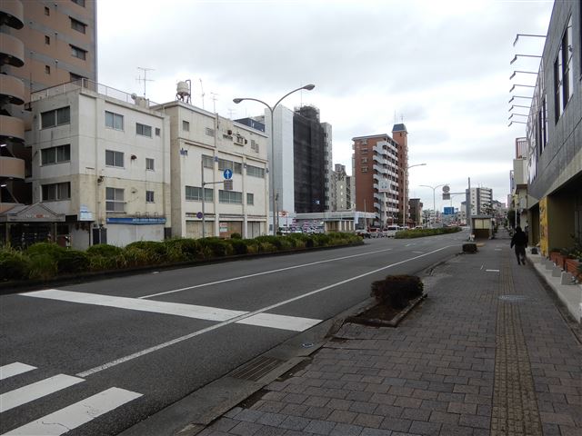 画像の説明