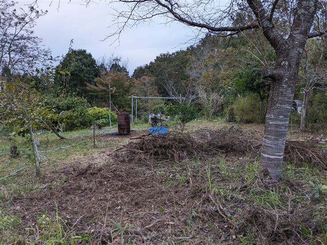 画像の説明
