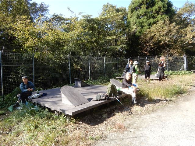 画像の説明
