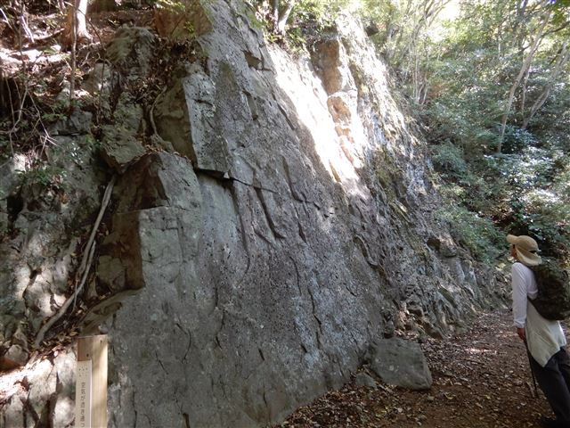 画像の説明