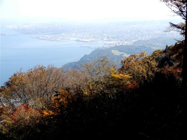 画像の説明