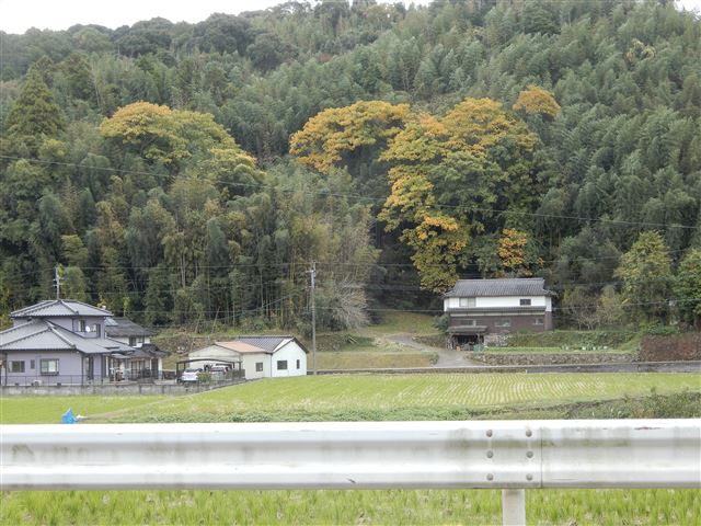 画像の説明