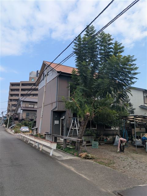 画像の説明
