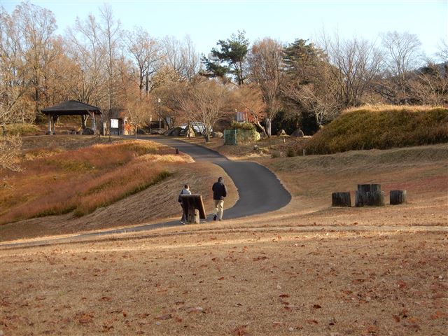 画像の説明