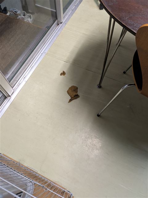画像の説明