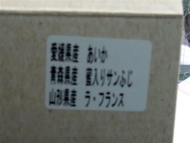 画像の説明
