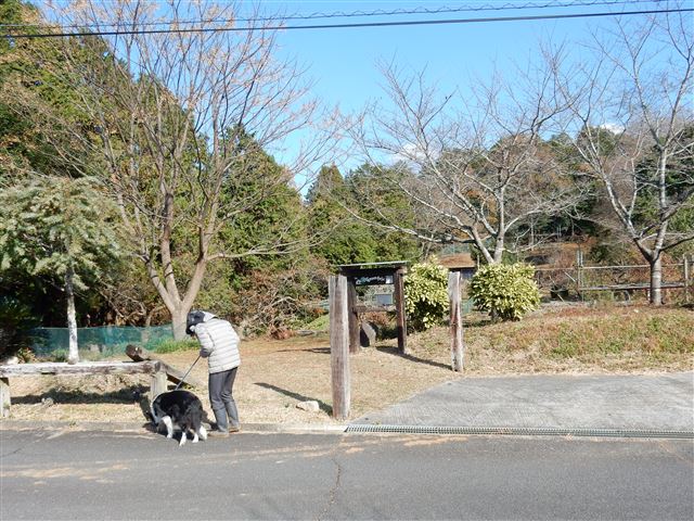 画像の説明