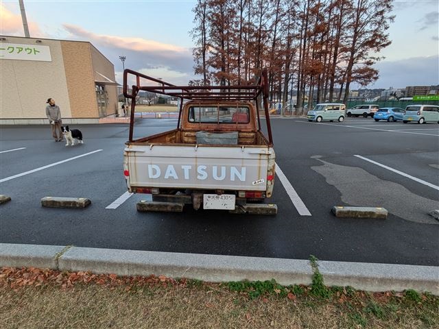 画像の説明