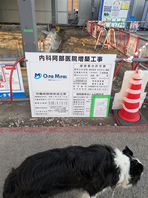 画像の説明